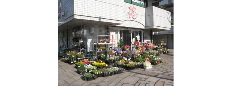 大阪市でおすすめの花屋13選 おしゃれな花屋や安い花屋を厳選 フルール ドゥ ソルシエ