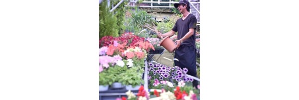 草加市でおすすめの花屋11選 おしゃれな花屋や安い花屋を厳選 フルール ドゥ ソルシエ