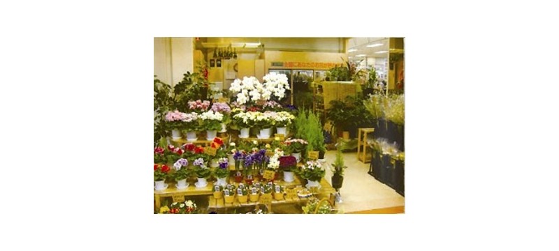 奥州市でおすすめの花屋9選 おしゃれな花屋や安い花屋を厳選 フルール ドゥ ソルシエ