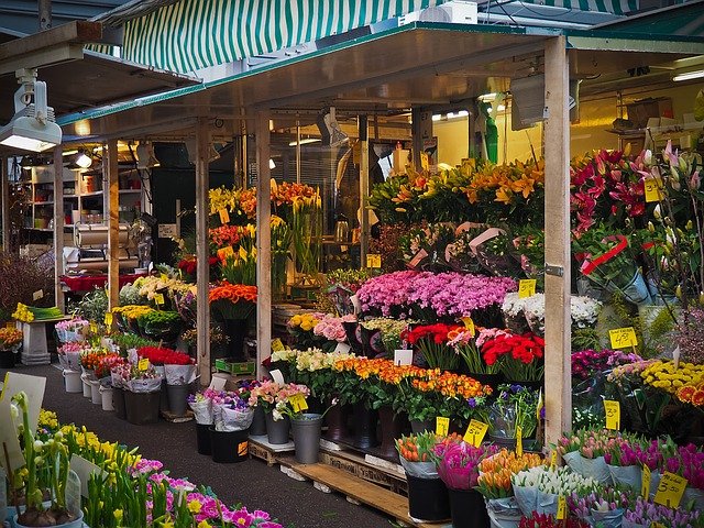 国分寺でおすすめの花屋14選 おしゃれな花屋や安い花屋を厳選 フルール ドゥ ソルシエ